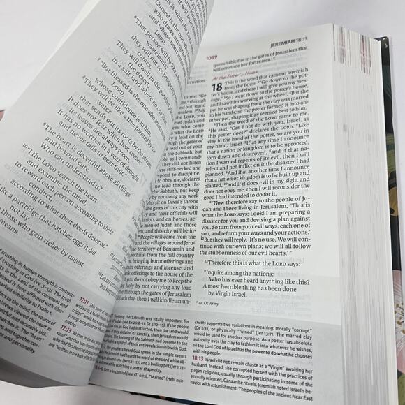 NIV the Woman's Study Bible by Thomas Nelson (2018, Hardcover) New. - Picture 7 of 11